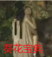 葵花宝典}